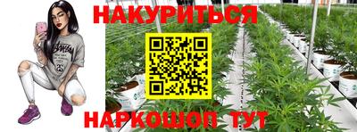 не бодяженный Шелехов