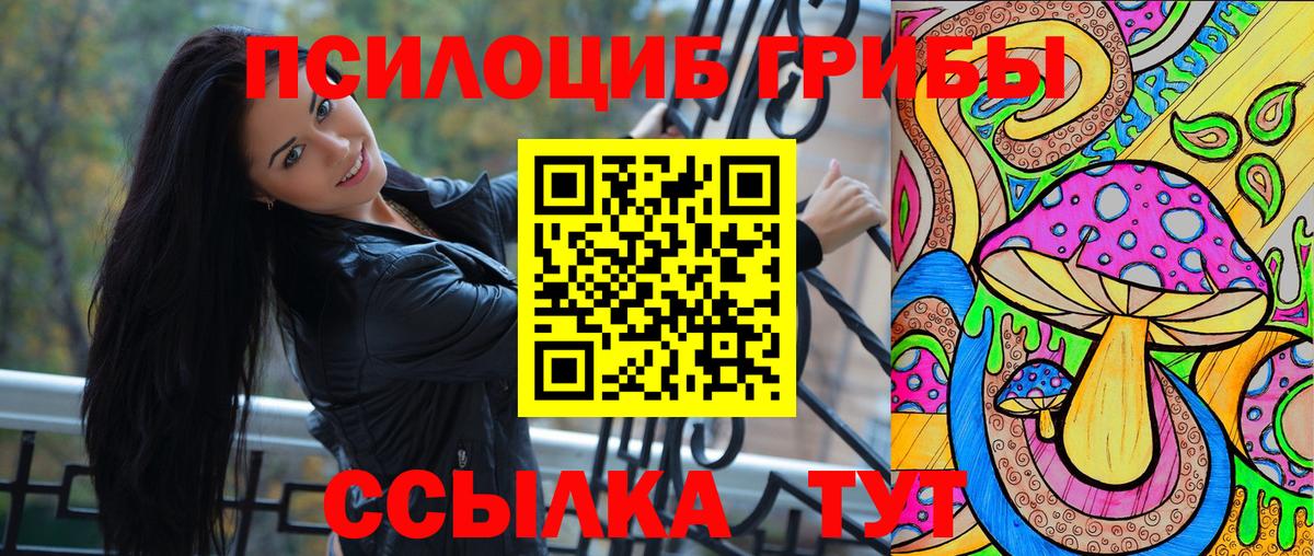 Калининград  Галлюциногенные грибы Psilocybe  Вход с VPN 